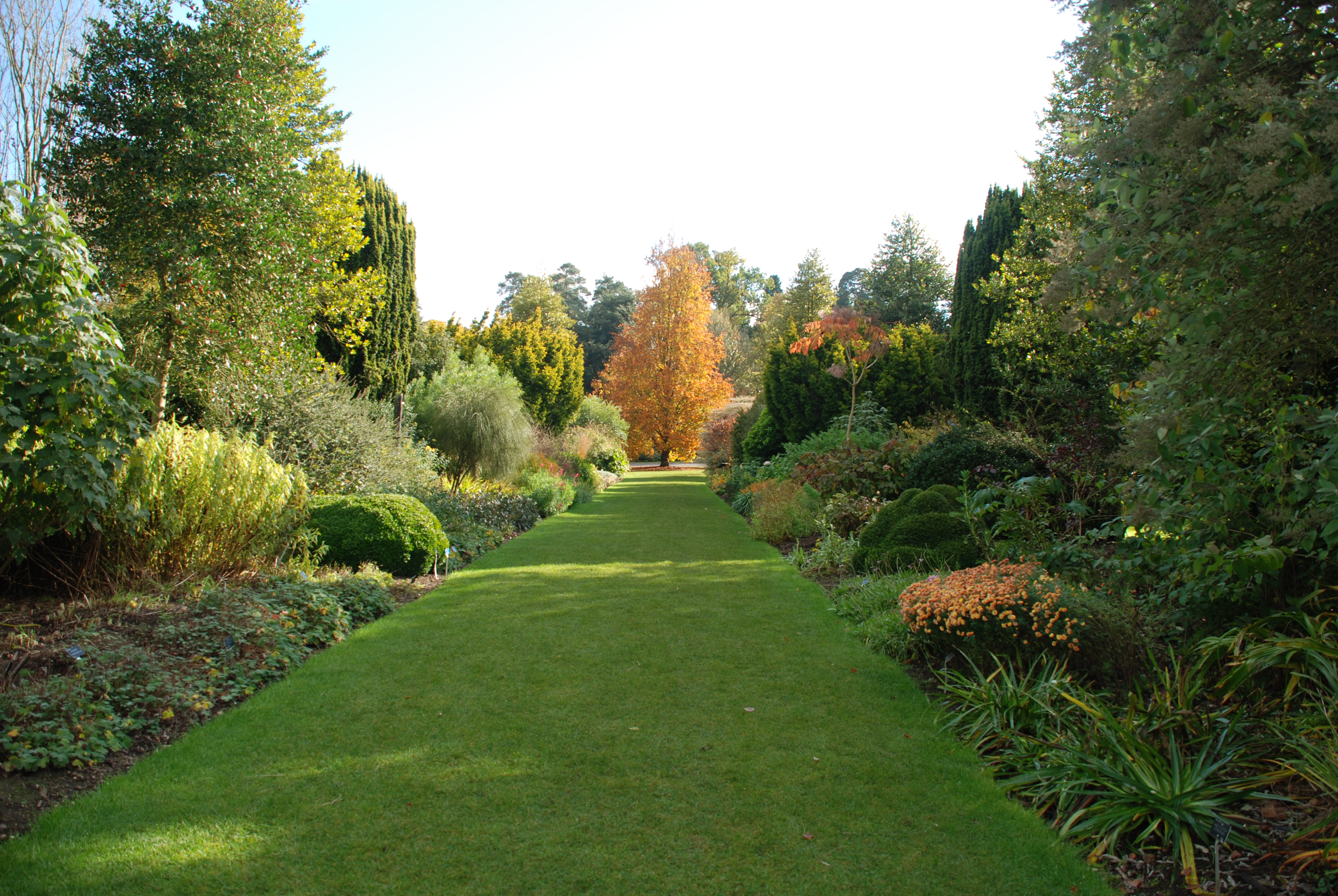 Arboretum Hillier